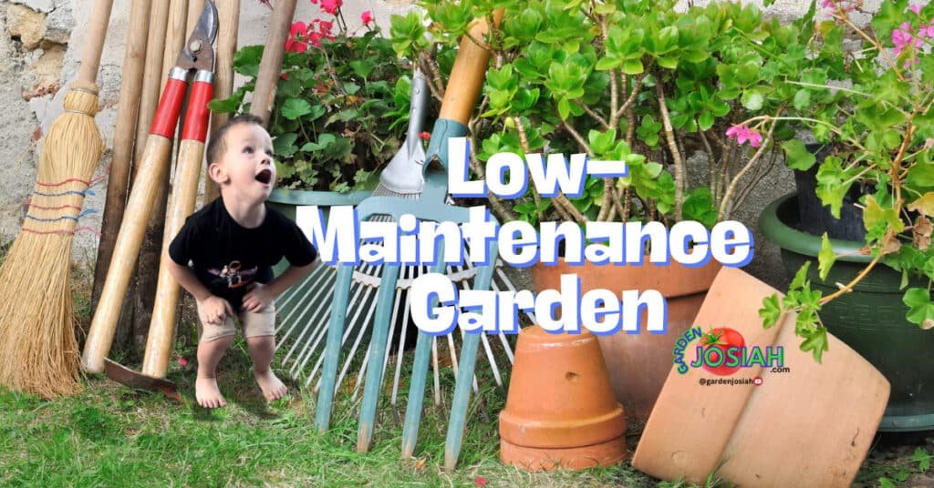 Low-Maintenance Garden