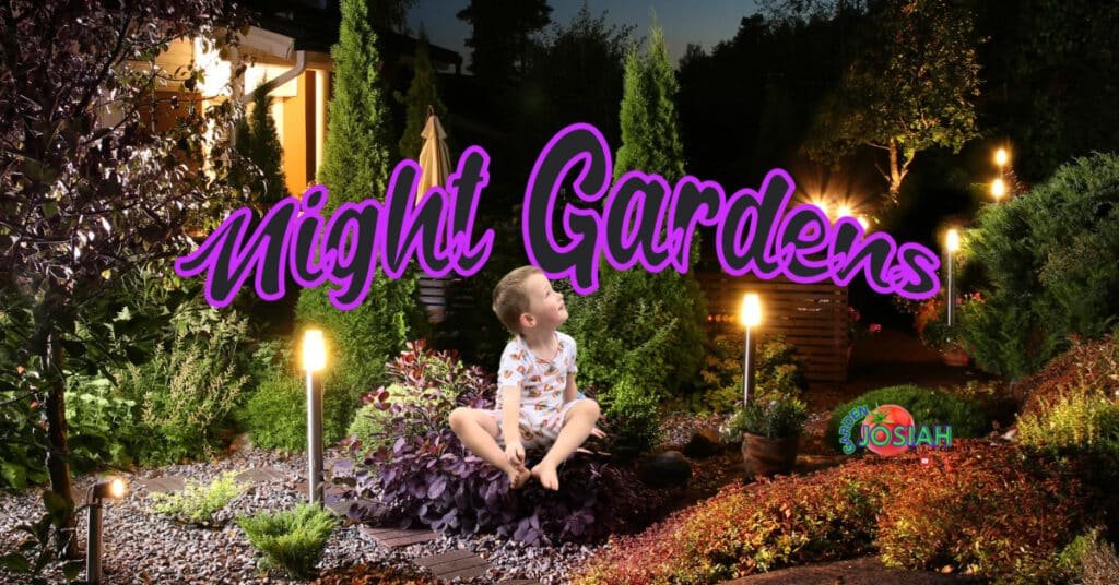 Night Gardens